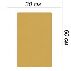 Металлическая пластина 30х60 золото глянцевое + ПЕЧАТЬ