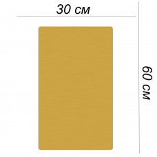 Металлическая пластина 30х60 золото сатин + ПЕЧАТЬ